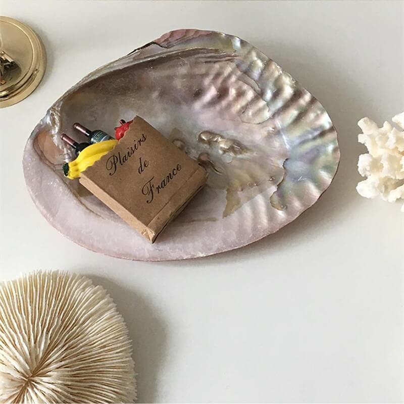 Natural Seashell Jewelry Tray