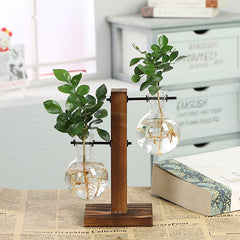 Terrarium Flask Planter Vase