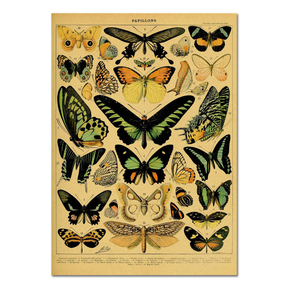 Papillons Kraftpapier Poster