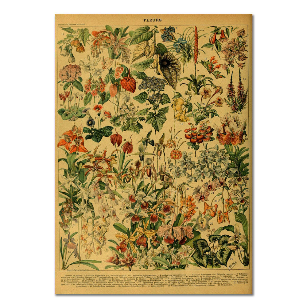 Flowers Vintage Kraft Paper Poster